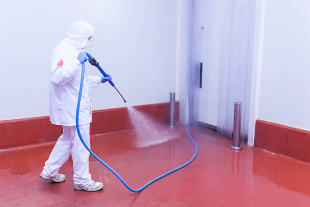 Best Animal Enclosure Cleaning  in Black Diamond, FL