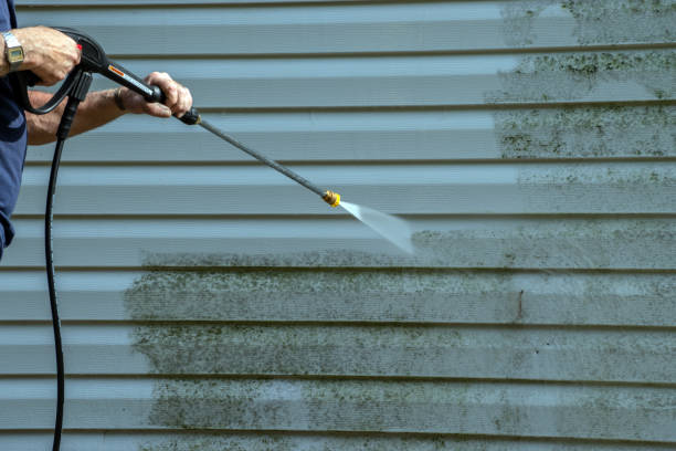 Best Patio and Deck Pressure Washing  in Black Diamond, FL