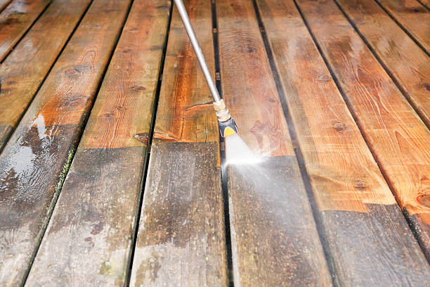 Best Solar Panel Cleaning  in Black Diamond, FL